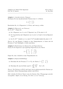 Aufgaben zur Mathe II für Ingenieure SS 13, Serie 5 Prof. Dr. E