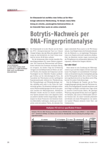 Botrytis-Nachweis per DNA-Fingerprintanalyse