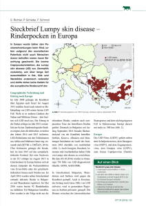 Steckbrief Lumpy skin disease – Rinderpocken in Europa
