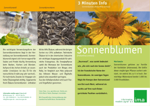 3 Minuten Info Sonnenblumen - ima