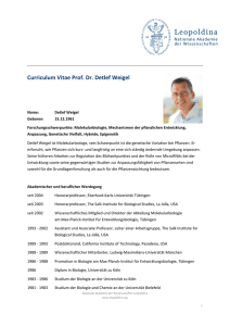 Curriculum Vitae Prof. Dr. Detlef Weigel