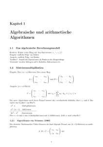 Algebraische und arithmetische Algorithmen