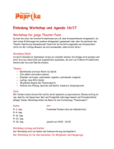 Einladung Workshop und Agenda 16/17