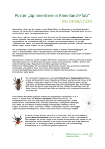 Begleittext Spinnen - Stiftung Natur und Umwelt Rheinland