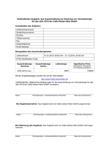 Angebotsformular 2019 - Celle