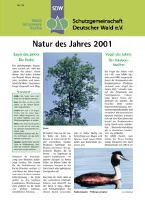 Natur des Jahres 2001 - Schutzgemeinschaft Deutscher Wald