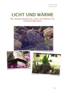 Newsletter Januar 2016 - Landschildkröten Stuttgart