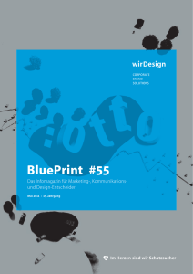 BluePrint 02/2011 - wirDesign communication AG