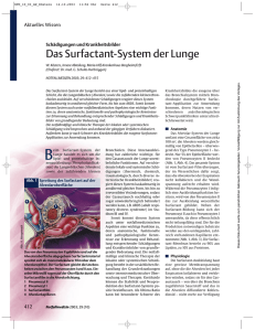 Das Surfactant-System der Lunge