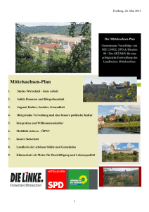 Creative Portfolio Resume - DIE LINKE. Mittelsachsen
