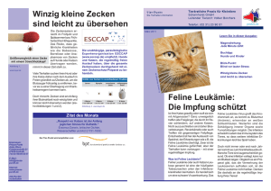 Ausgabe März 2011 - Tierärztliche Praxis für Kleintiere Scharnhorst