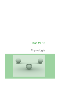 Kapitel 13 Physiologie