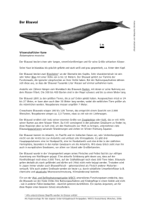Der Blauwal - Whale and Dolphin Conservation