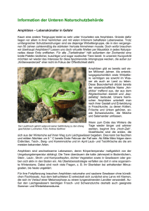 Infoblatt Amphibien - Neues