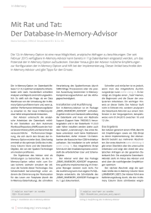 Mit Rat und Tat: Der Database-In-Memory-Advisor
