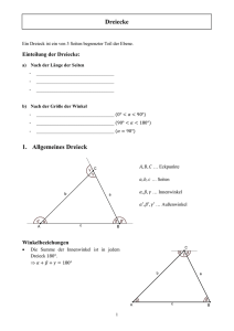 Dreiecke 1. Allgemeines Dreieck