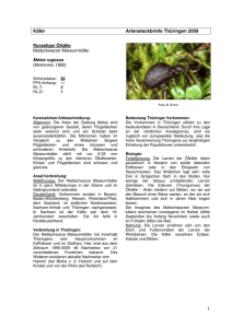 1 Käfer Artensteckbriefe Thüringen 2009