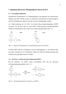 3 Spaltung aktivierter Phosphodiester durch Zr(IV)