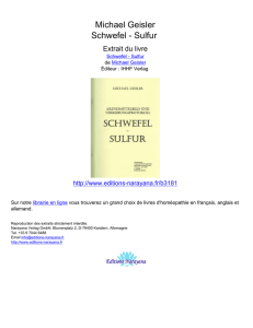 Michael Geisler Schwefel - Sulfur