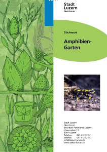 Amphibien- Garten - Naturnetz Pfannenstil