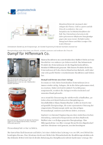 Dampf für Hiffenmark Co. - Gammel Engineering GmbH