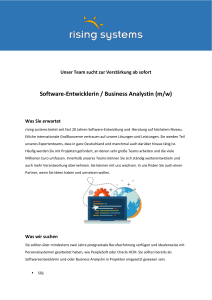 Software-Entwicklerin / Business Analystin (m/w) - Rising