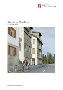 Projektstudie Wohnen im Alpenblick - Age