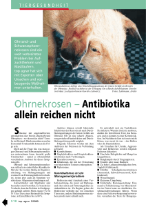 Ohrnekrosen – Antibiotika allein reichen nicht