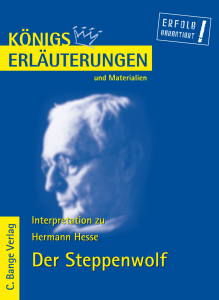 Erläuterungen zu Hermann Hesse, Der Steppenwolf