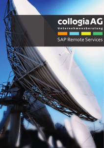 SAP Remote Services