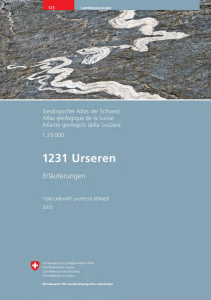 1231 Urseren - Kanton Bern