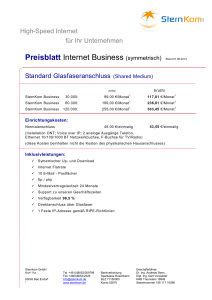 Preisblatt Internet Business (symmetrisch) Stand 01.08
