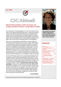 CIConsult Newsletter Ausgabe Juli 2008