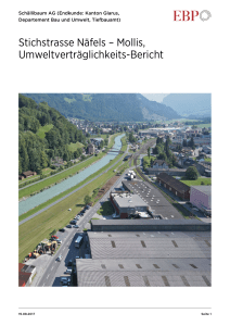 Stichstrasse Näfels – Mollis, Umweltverträglichkeits-Bericht