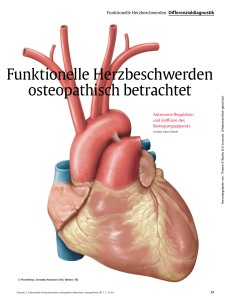 Funktionelle Herzbeschwerden osteopathisch