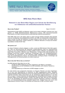 Informationen zum MRE-Netz Rhein-Main