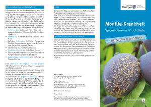Monilia-Krankheit