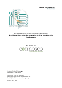 Brasiliens Herausforderungen im Lichte struktureller