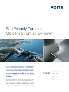 Fish Friendly Turbines. Mit dem Strom schwimmen