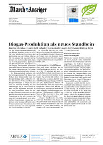 Biogas-Produktion als neues Standbein