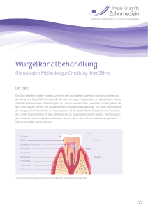 Flyer  - Sanfte Zahnmedizin Bodenheim