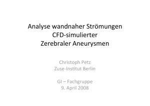 Analyse wandnaher Strömungen CFD‐simulierter Zerebraler