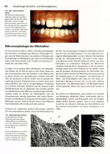 Mikromorphologie der Milchzähne