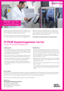 IT/PLM Systemingenieur (m/w)