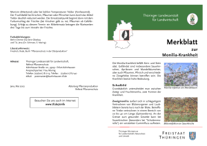 Merkblatt - Thüringer Landesanstalt für Landwirtschaft