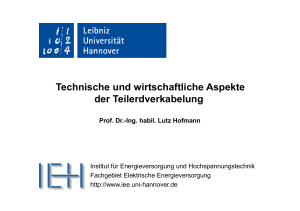 Technische und wirtschaftliche Aspekte_17042012_Hofmann