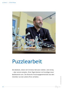 Puzzlearbeit - Leibniz Gemeinschaft