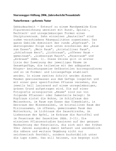 Sturzenegger-Stiftung 2006, Jahresbericht/Neuankäufe Naturformen