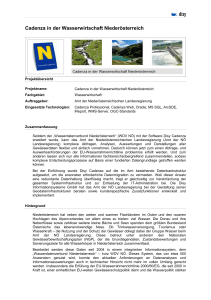 Cadenza in der Wasserwirtschaft Niederösterreich