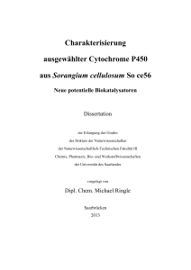 Dissertation MR - SciDok - Universität des Saarlandes